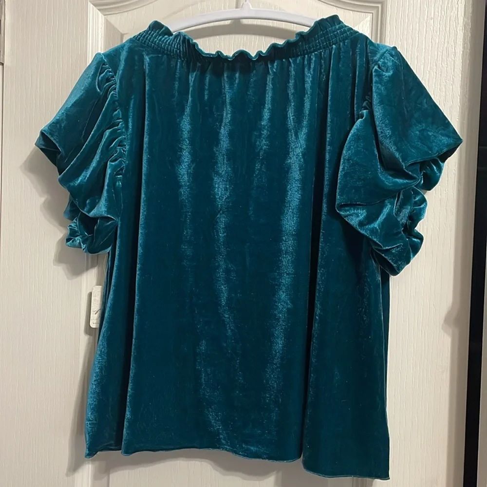 Free People Terese‎ Velvet Puff Sleeve Blouse Boho Chic Minimalist Western